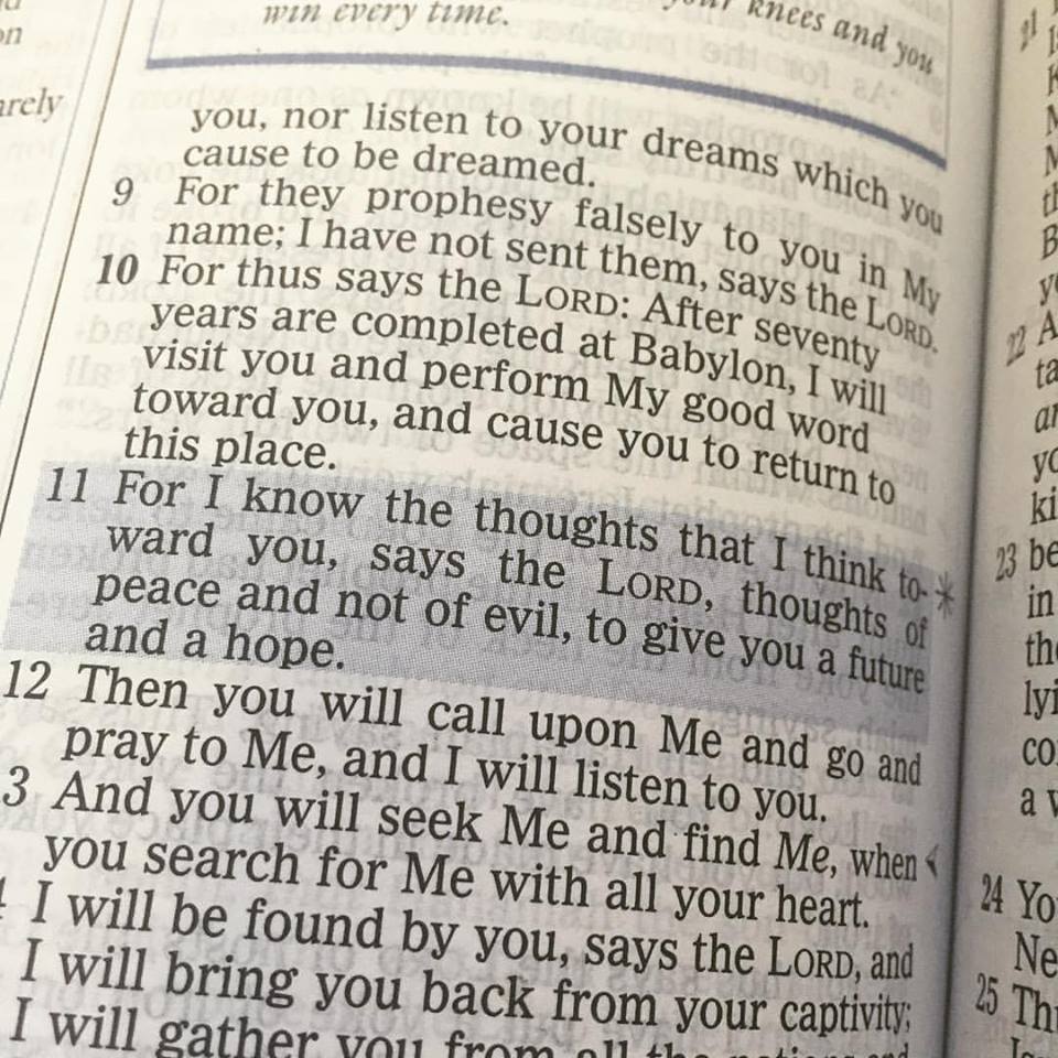 13442286_10154222378254882_5893881783195808092_n